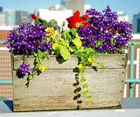 flower box