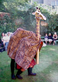 giraffe at co-op circus